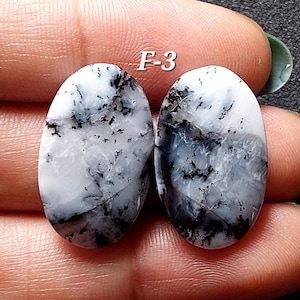 Ovale vorm natuurlijk dendriet opaal cabochonpaar/dendriet opaal ovale edelsteen bijpassend paar voor sieraden/genezend kristal/gratis boren/DO-F