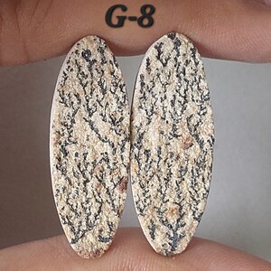 May include: Two oval-shaped, beige and black patterned cabochons. The cabochons have a dendritic pattern and are labeled "G-8".