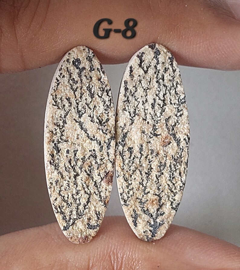May include: Two oval-shaped, beige and black patterned cabochons. The cabochons have a dendritic pattern and are labeled "G-8".