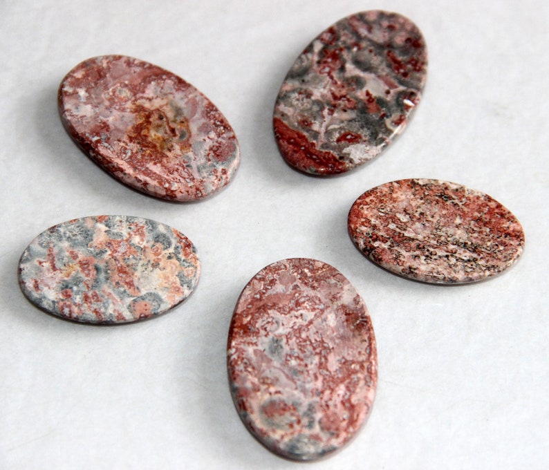 Oval Shape Stone 5 Pieces Natural Leopard Skin Jasper Cabochon Flat Back Stone Whole Sale Price Red Leopard Skin Jasper Gemstone