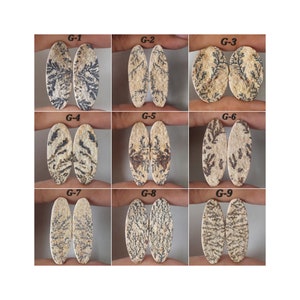 May include: Nine pairs of oval-shaped, polished, beige and brown agate cabochons with black dendritic patterns. The cabochons are arranged in three rows of three. Each pair is labeled with a letter G and a number from 1 to 9.