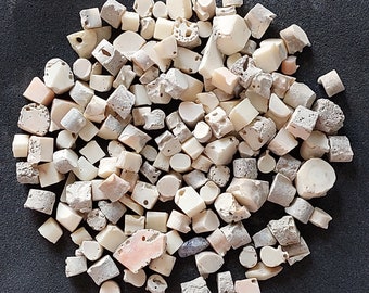 20 White Coral Gemstone Pieces: Natural Rough Stone (5-9 MM)