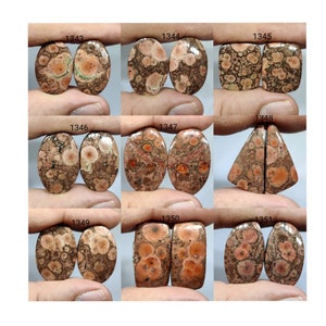 Paire de cabochons naturels rares en jaspe oeil d'oiseau/paire de cabochons en rhyolite oeil d'oiseau/paire de pierres précieuses oeil d'oiseau/dos plat/forme de mélange/pierres en vrac