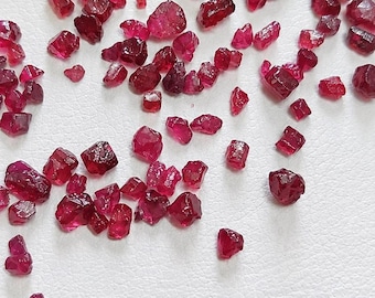 May include: A collection of small, raw, deep red ruby gemstones scattered across a white surface. Each stone features an irregular, multifaceted shape with a translucent quality, showcasing varying shades of crimson and dark pink hues.