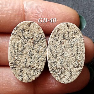 Pu&ograve; includere: Un paio di cabochon ovali di colore crema con un motivo dendritico nero e marrone. I cabochon misurano circa 2,5 cm di lunghezza e 2 cm di larghezza. Il testo "GD-40" &egrave; stampato sull'immagine.