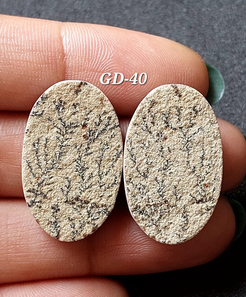 Pu&ograve; includere: Un paio di cabochon ovali di colore crema con un motivo dendritico nero e marrone. I cabochon misurano circa 2,5 cm di lunghezza e 2 cm di larghezza. Il testo "GD-40" &egrave; stampato sull'immagine.