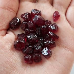 Puede incluir: Un montón de pequeñas piedras preciosas de color rojo oscuro, probablemente rubíes, en una mano. Las piedras preciosas están facetadas y tienen un acabado brillante y pulido.