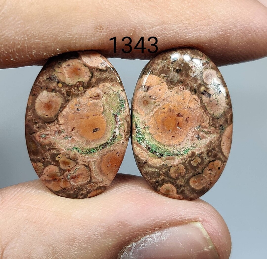 31.90 Carats Naturel Pierre Opale Ovale Cabochon Précieuse 20x31x5 MM