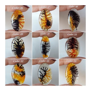 Incrível! Cabochão de pedra preciosa dupla solta oval/cristal natural, duplo cênico/cristal natural e cabochão oval dendrítico/CBN-039