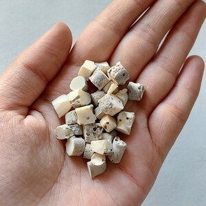 20 vita korallstensbitar: Naturlig grov sten (5-9 MM) bild 4