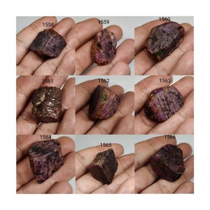Puede incluir: Nueve piedras preciosas de rubí sin pulir, de color rojo oscuro, con estrías visibles. Cada piedra está etiquetada con un número del 1558 al 1566.
