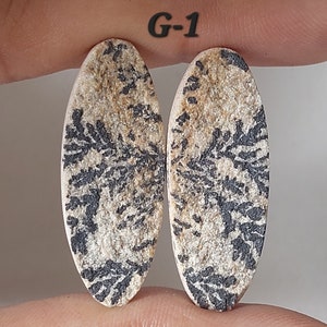 May include: Two oval-shaped, natural stone cabochons with a black and white dendritic pattern. The stones are approximately 1 inch long and 1/2 inch wide. G-1.