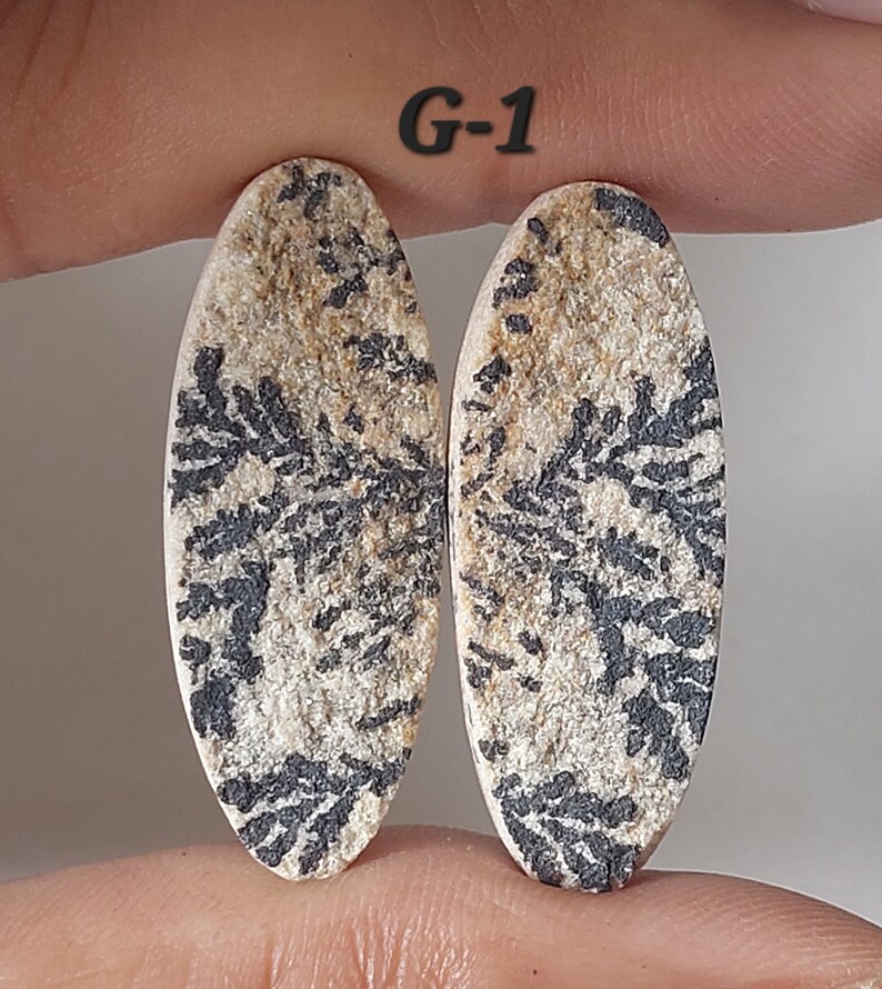 May include: Two oval-shaped, natural stone cabochons with a black and white dendritic pattern. The stones are approximately 1 inch long and 1/2 inch wide. G-1.
