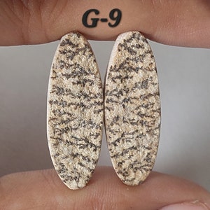 May include: Two oval-shaped, beige and brown patterned stones with a light brown background and dark brown markings. The stones are labeled "G-9".