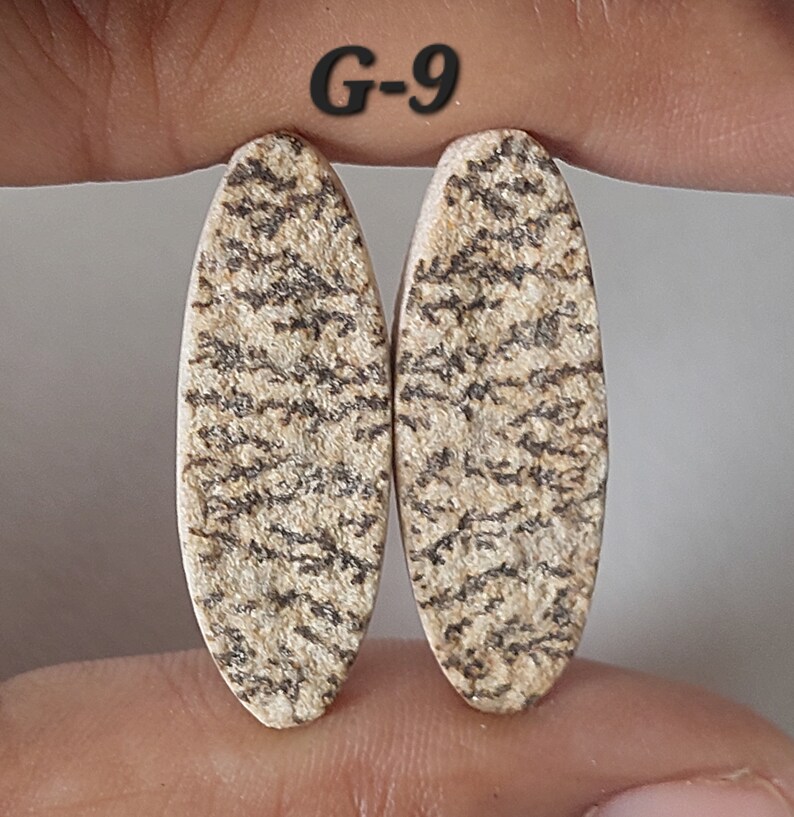May include: Two oval-shaped, beige and brown patterned stones with a light brown background and dark brown markings. The stones are labeled "G-9".