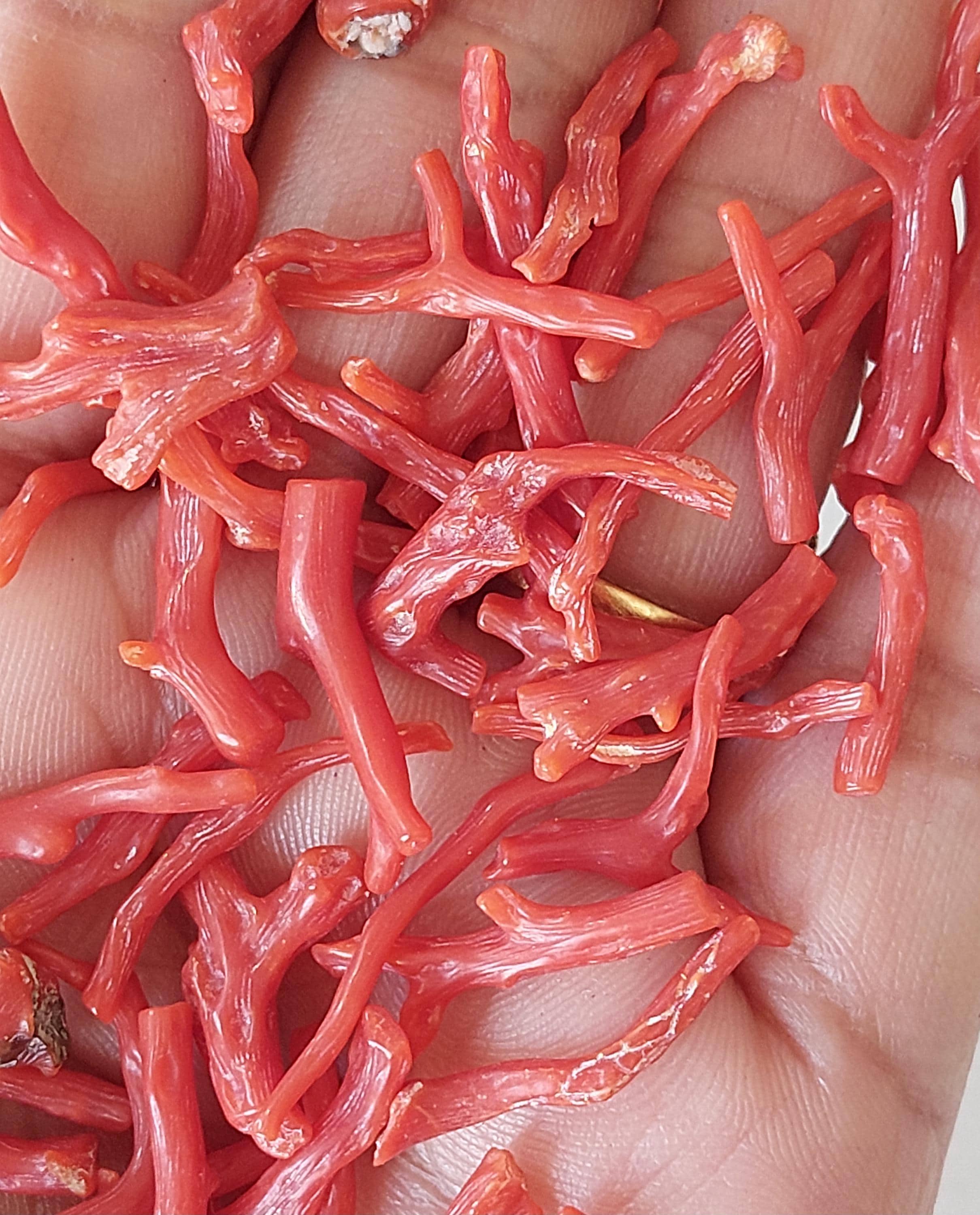 10 Red Coral Sticks: Natural Raw Coral Reef Branches (15-40mm