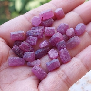 May include: A handful of raw, uncut ruby gemstones. The rubies are a deep pinkish-red color, with rough, irregular shapes. The gemstones vary in size and are held in an open hand.