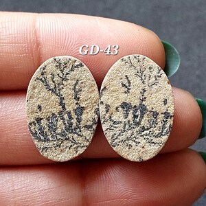 Pu&ograve; includere: Due pietre ovali di colore beige con motivi dendritici neri. Le pietre misurano circa 2,5 cm di lunghezza. Il testo "GD-43" &egrave; visibile nell'immagine.