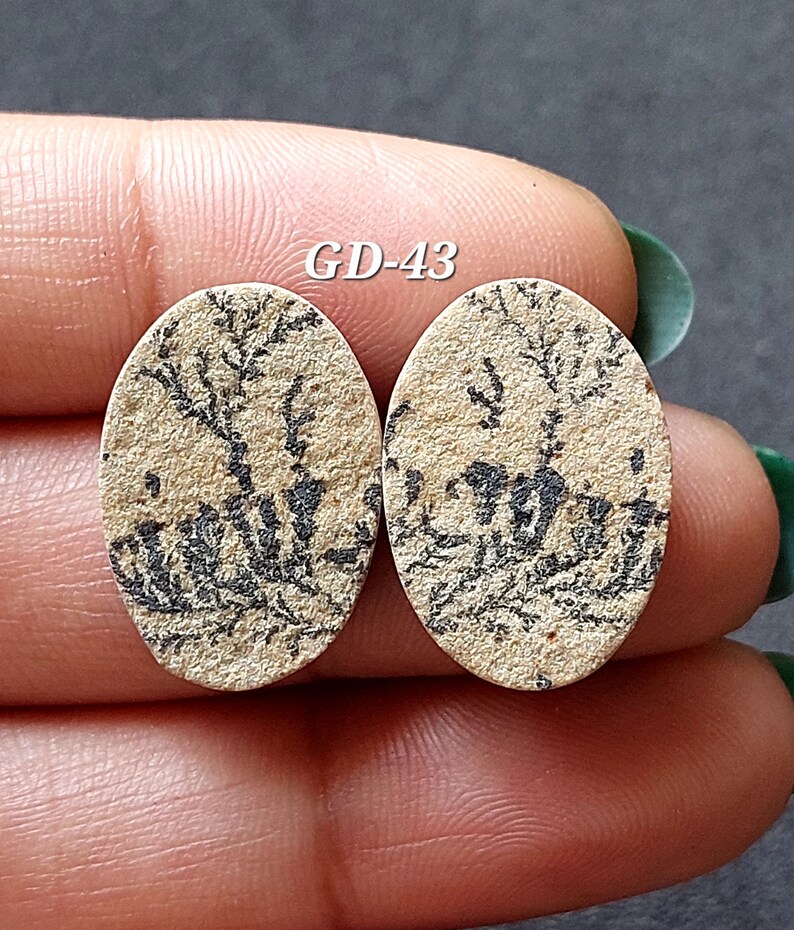 Pu&ograve; includere: Due pietre ovali di colore beige con motivi dendritici neri. Le pietre misurano circa 2,5 cm di lunghezza. Il testo "GD-43" &egrave; visibile nell'immagine.