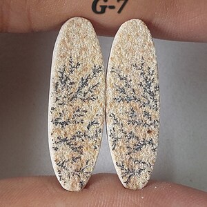 May include: Two oval-shaped, beige-colored stones with black dendritic patterns. The stones are labeled "G-7".