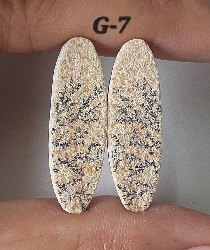 May include: Two oval-shaped, beige-colored stones with black dendritic patterns. The stones are labeled "G-7".