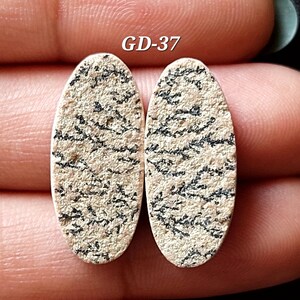 Pu&ograve; includere: Un paio di cabochon ovali, con un motivo bianco e nero. I cabochon hanno una superficie ruvida e testurizzata. I cabochon sono etichettati "GD-37".