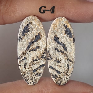 May include: Two oval-shaped, natural stone cabochons with a white and black marbled pattern. The stones are labeled "G-4".