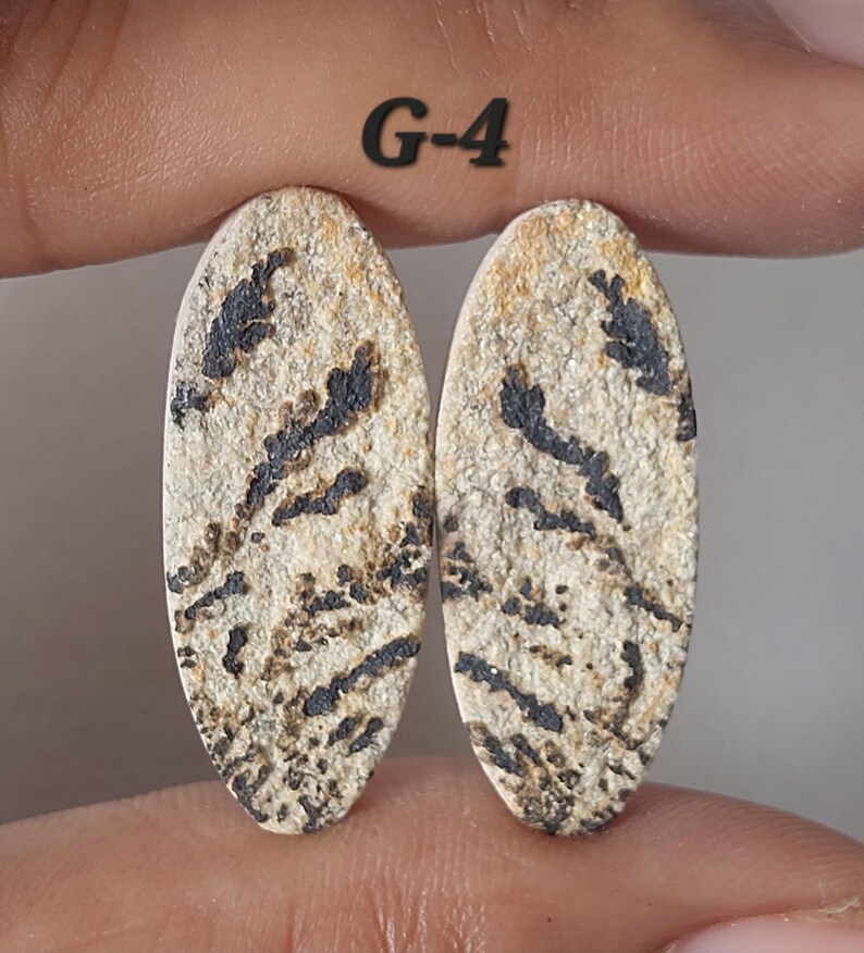 May include: Two oval-shaped, natural stone cabochons with a white and black marbled pattern. The stones are labeled "G-4".