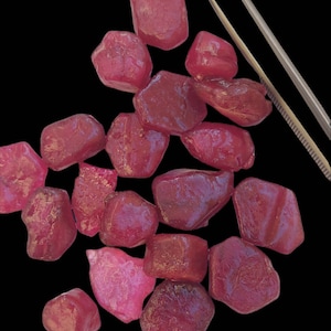 May include: A collection of 18 rough, unpolished ruby gemstones in various sizes and shapes. The rubies are a deep red colour and have a natural, unrefined appearance.