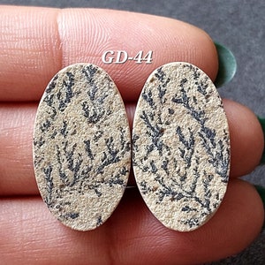 Pu&ograve; includere: Due cabochon ovali, con motivi beige e neri, con il testo "GD-44" sopra.