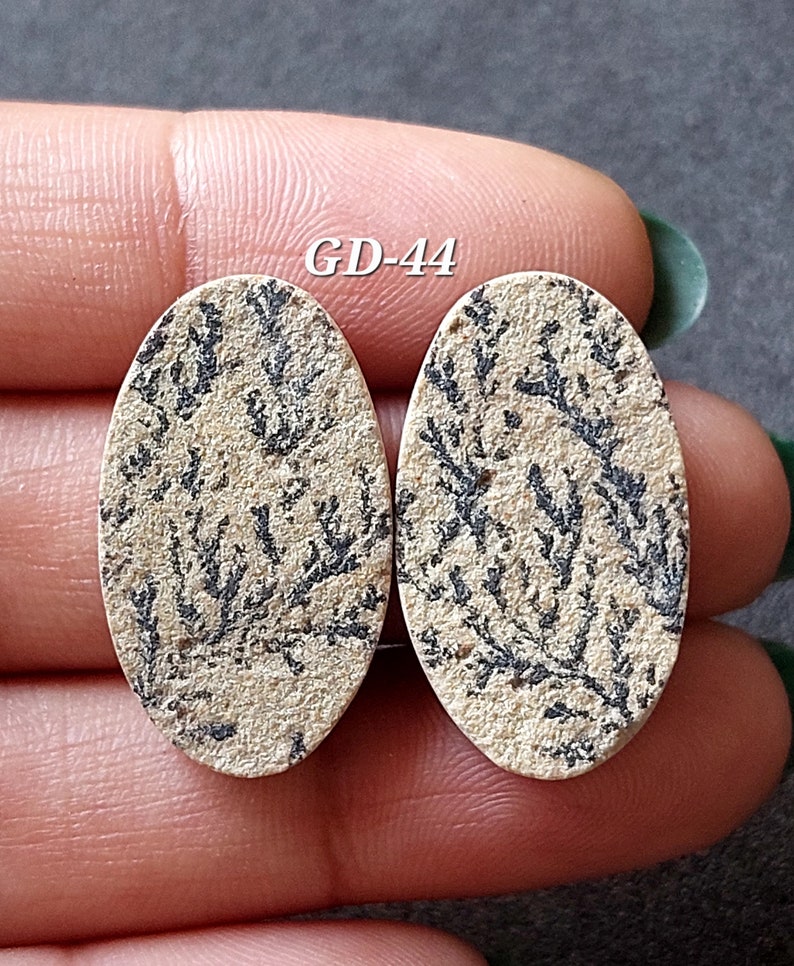 Pu&ograve; includere: Due cabochon ovali, con motivi beige e neri, con il testo "GD-44" sopra.