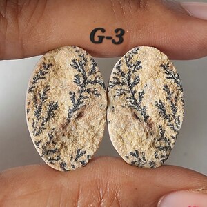 May include: Two oval-shaped, beige-colored stones with black dendritic patterns. The stones are labeled "G-3".