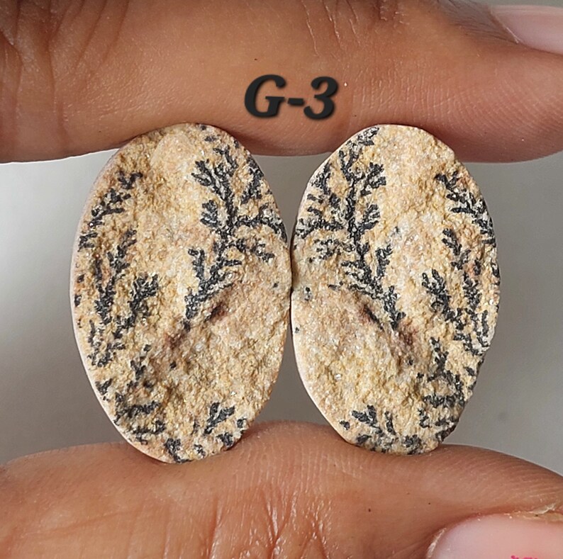May include: Two oval-shaped, beige-colored stones with black dendritic patterns. The stones are labeled "G-3".