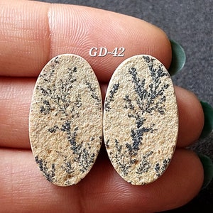 Pu&ograve; includere: Due cabochon ovali in agata dendritica beige e nera con una superficie naturale testurizzata. I cabochon presentano un motivo di dendriti nere che ricordano rami o felci. I cabochon sono etichettati "GD-42".
