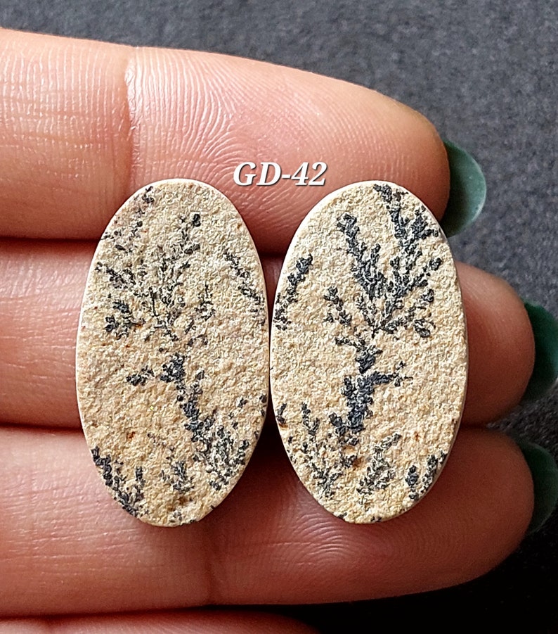 Pu&ograve; includere: Due cabochon ovali in agata dendritica beige e nera con una superficie naturale testurizzata. I cabochon presentano un motivo di dendriti nere che ricordano rami o felci. I cabochon sono etichettati "GD-42".