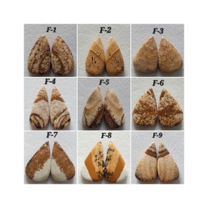 Bellissimo! Coppia di cabochon di diaspro rosso-marrone naturale a forma di pera/coppia abbinata di diaspro/pietra preziosa semipreziosa/foratura gratuita/PJ-F