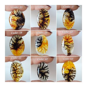Lindo! Cabochões ovais de pedras preciosas soltas Doublet/Cristal natural Scenic Doublet/Cristal natural e cabochões ovais Doublet Dendríticos/CBN-040
