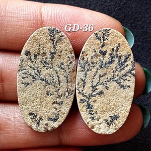 Pu&ograve; includere: Due cabochon ovali in agata dendritica beige e nera con un motivo naturale a forma di albero. I cabochon misurano circa 3,8 cm di lunghezza e 2,5 cm di larghezza. Il testo "GD-36" &egrave; visibile nell'immagine.