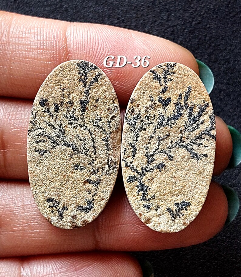 Pu&ograve; includere: Due cabochon ovali in agata dendritica beige e nera con un motivo naturale a forma di albero. I cabochon misurano circa 3,8 cm di lunghezza e 2,5 cm di larghezza. Il testo "GD-36" &egrave; visibile nell'immagine.