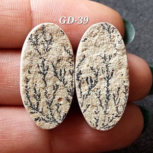 Pu&ograve; includere: Un paio di cabochon ovali in agata bianca con motivi dendritici neri. I cabochon misurano circa 2,5 cm di lunghezza e 1,25 cm di larghezza. I cabochon sono etichettati "GD-39".