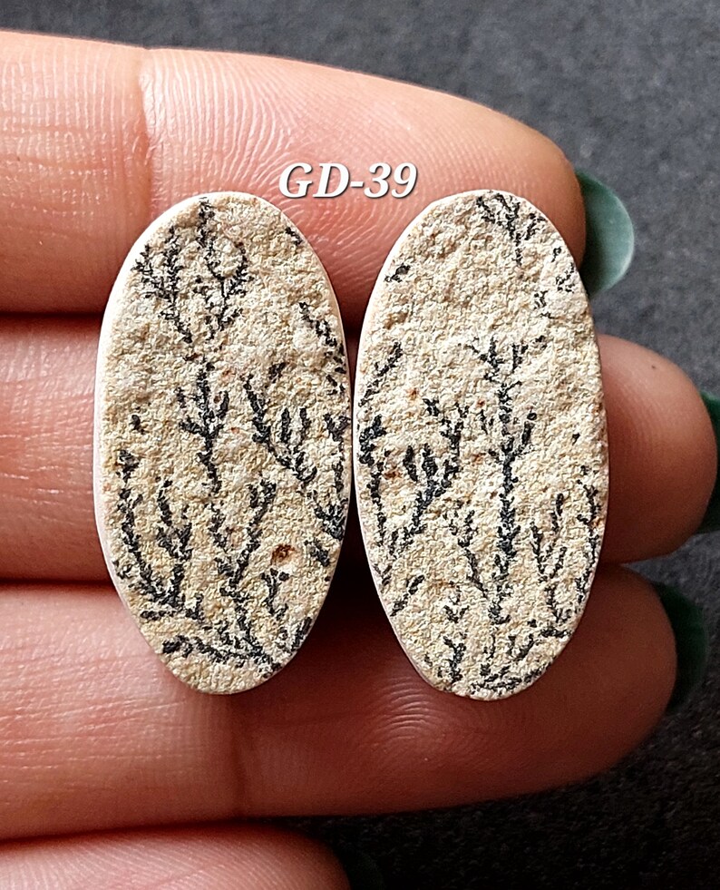 Pu&ograve; includere: Un paio di cabochon ovali in agata bianca con motivi dendritici neri. I cabochon misurano circa 2,5 cm di lunghezza e 1,25 cm di larghezza. I cabochon sono etichettati "GD-39".