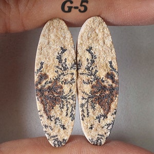 May include: Two oval-shaped, tan-colored stones with brown dendritic patterns. The stones are labeled "G-5".