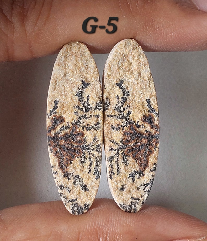 May include: Two oval-shaped, tan-colored stones with brown dendritic patterns. The stones are labeled "G-5".