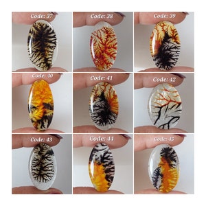 Excelente! Cabochão de pedra preciosa solta em formato oval/duplo cênico de cristal natural/cristal natural e cabochão oval dendrítico/CBN-038