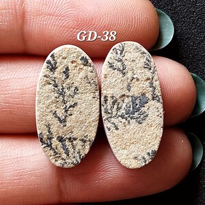 Pu&ograve; includere: Due cabochon ovali di colore beige con un motivo dendritico nero. I cabochon misurano circa 2,5 cm di lunghezza. L'immagine &egrave; etichettata "GD-38".