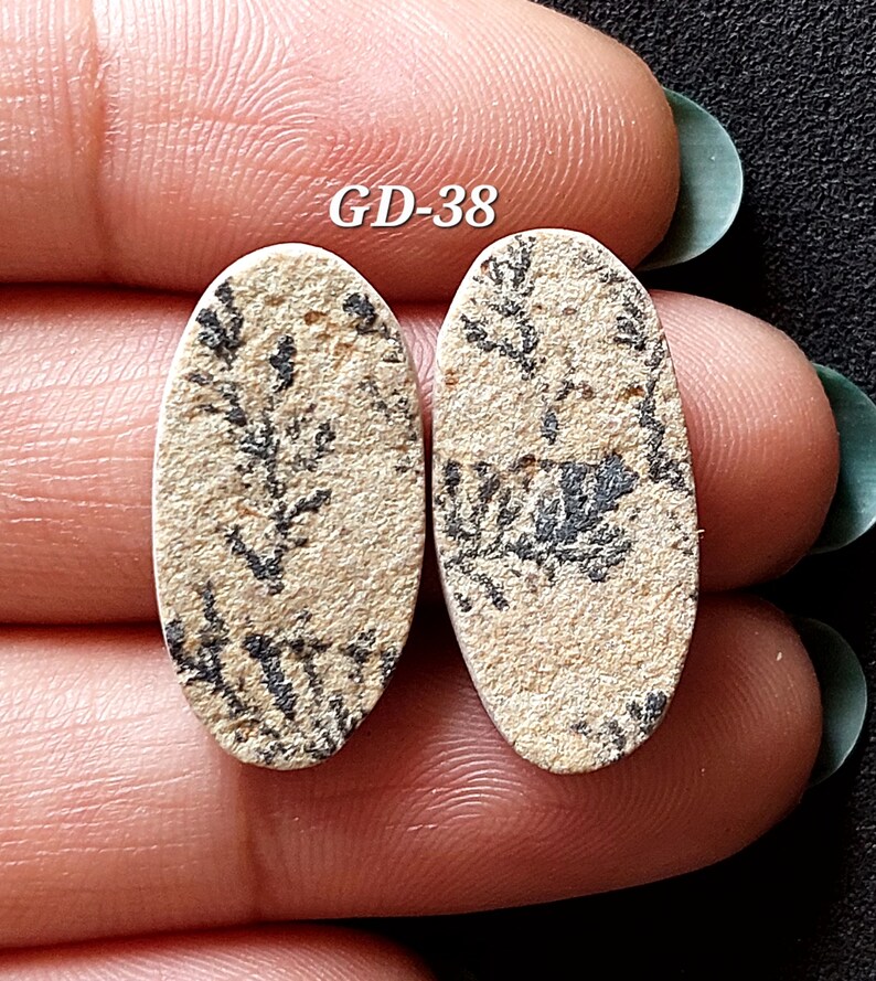 Pu&ograve; includere: Due cabochon ovali di colore beige con un motivo dendritico nero. I cabochon misurano circa 2,5 cm di lunghezza. L'immagine &egrave; etichettata "GD-38".