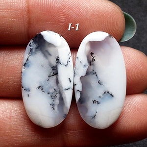 Natuurlijk dendriet opaal mooie vorm cabochonpaar/mix vorm dendriet opaal edelsteen bijpassend paar voor sieraden/genezende steen/gratis boren/DO-I