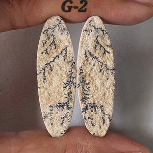 May include: Two oval-shaped, beige and black agate cabochons with dendritic patterns. The cabochons are approximately 2 inches long and 1 inch wide. The cabochons are labeled "G-2".