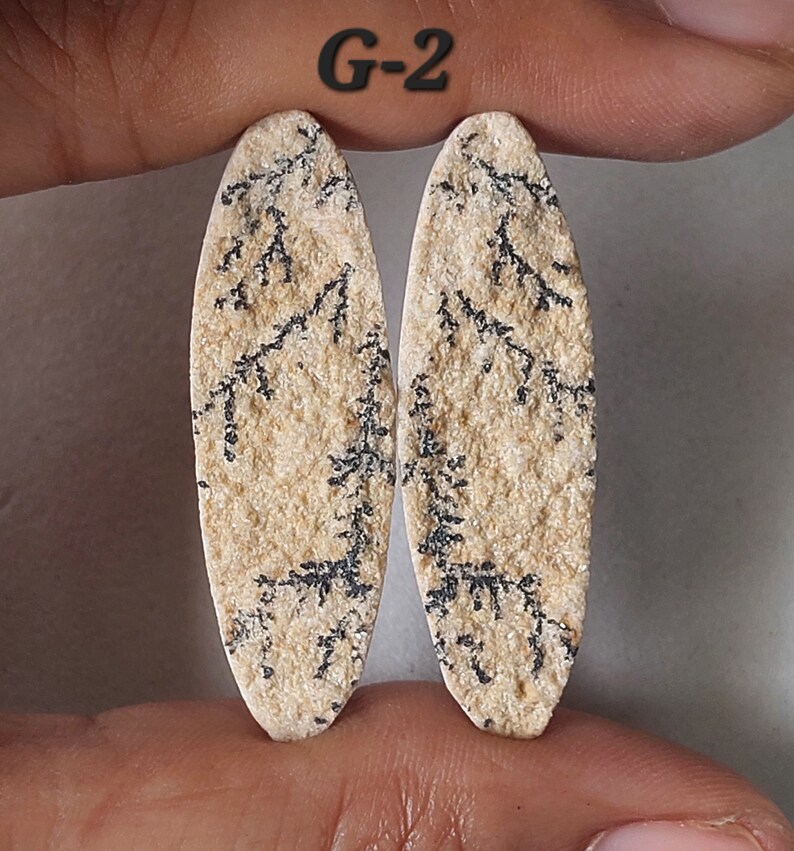 May include: Two oval-shaped, beige and black agate cabochons with dendritic patterns. The cabochons are approximately 2 inches long and 1 inch wide. The cabochons are labeled "G-2".