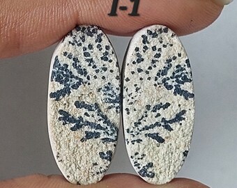 Natural Dendrite Cabochon Pair: German Psilomelane Gemstone